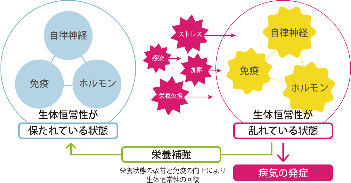 栄養のバランスが変わります。